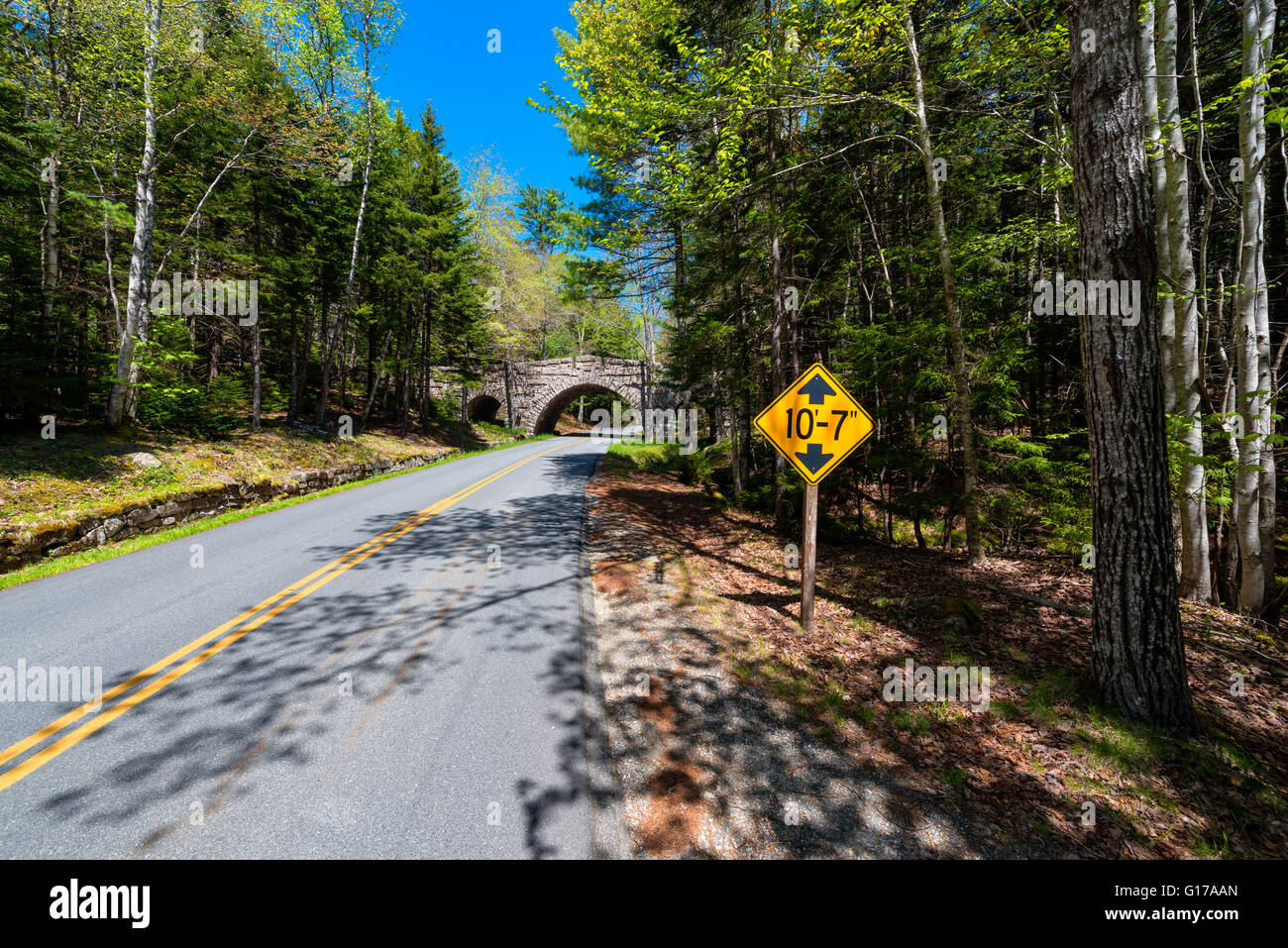 Straße in Acadia Nationalpark Maine Stockfoto
