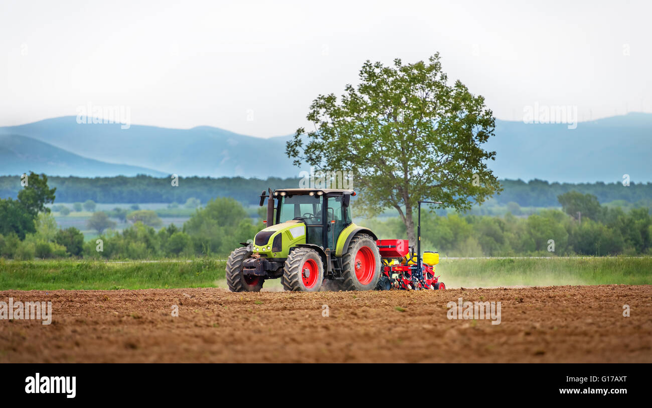 Traktor Spritzen Feld im Frühjahr. Stockfoto