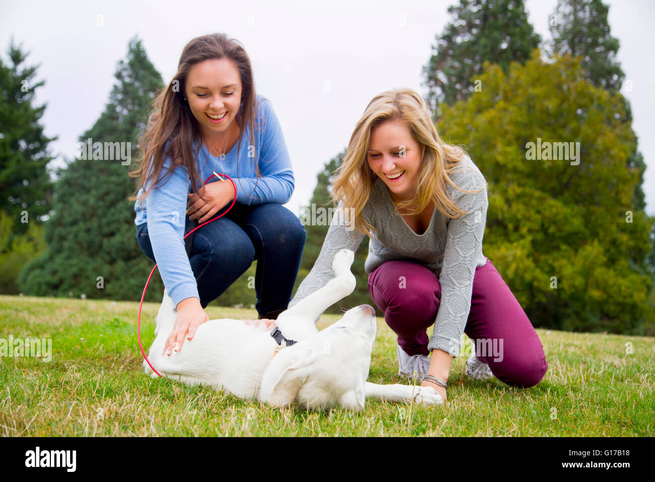 Zwei junge Frauen spielen mit Hund im park Stockfoto