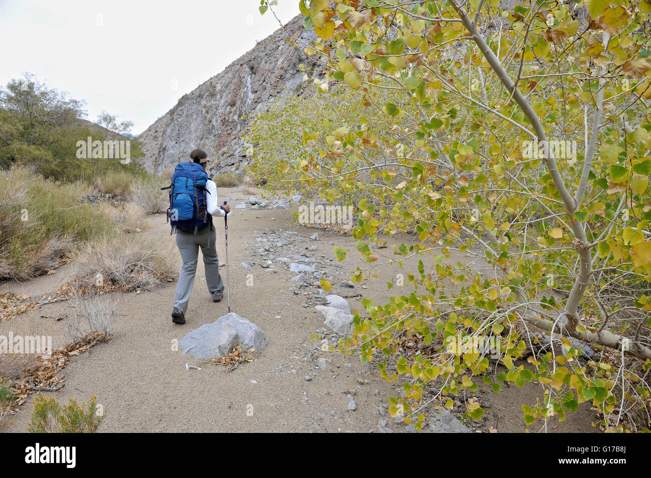 Wanderer erkunden die Wüste, Cottonwood Canyon, Death Valley Nationalpark, Kalifornien Stockfoto