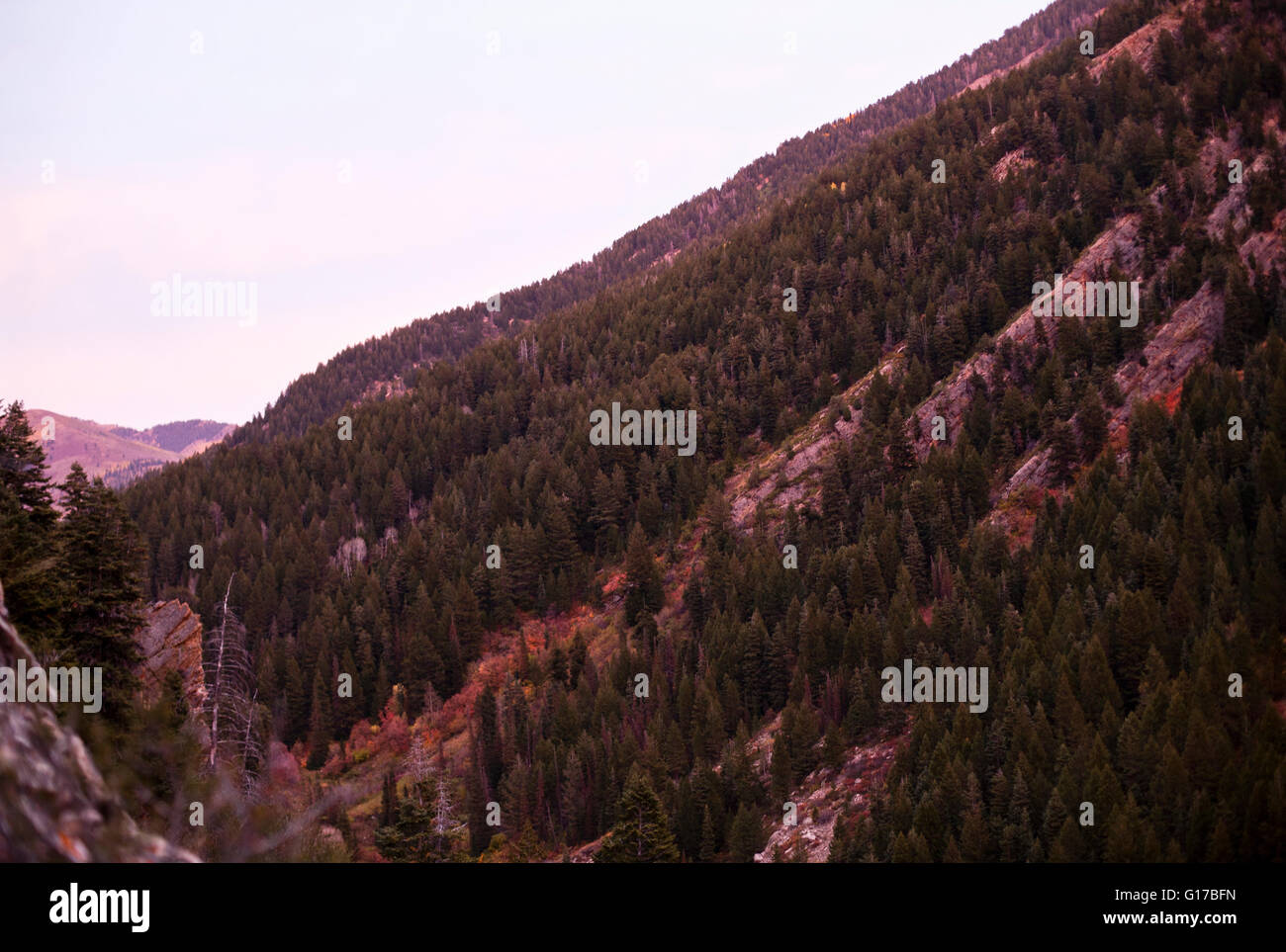 Big Cottonwood Canyon, Utah, USA Stockfoto