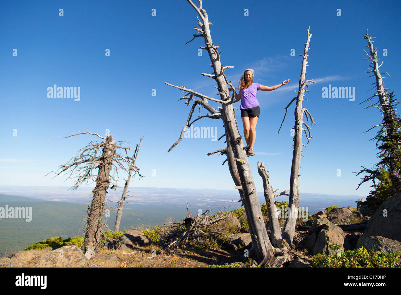 Junge Frau auf toten Baum, Black Buttes, Oregon, USA Stockfoto Junge Frau auf toten Baum, Black Buttes, Oregon, USA Stockfoto