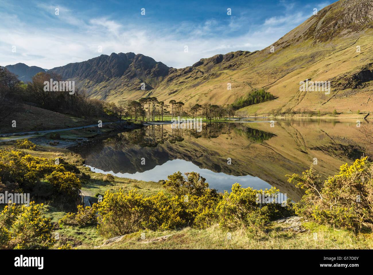 Glasartige Oberfläche von Buttermere reflektiert umgebenden Fells bald nach Sonnenaufgang Stockfoto