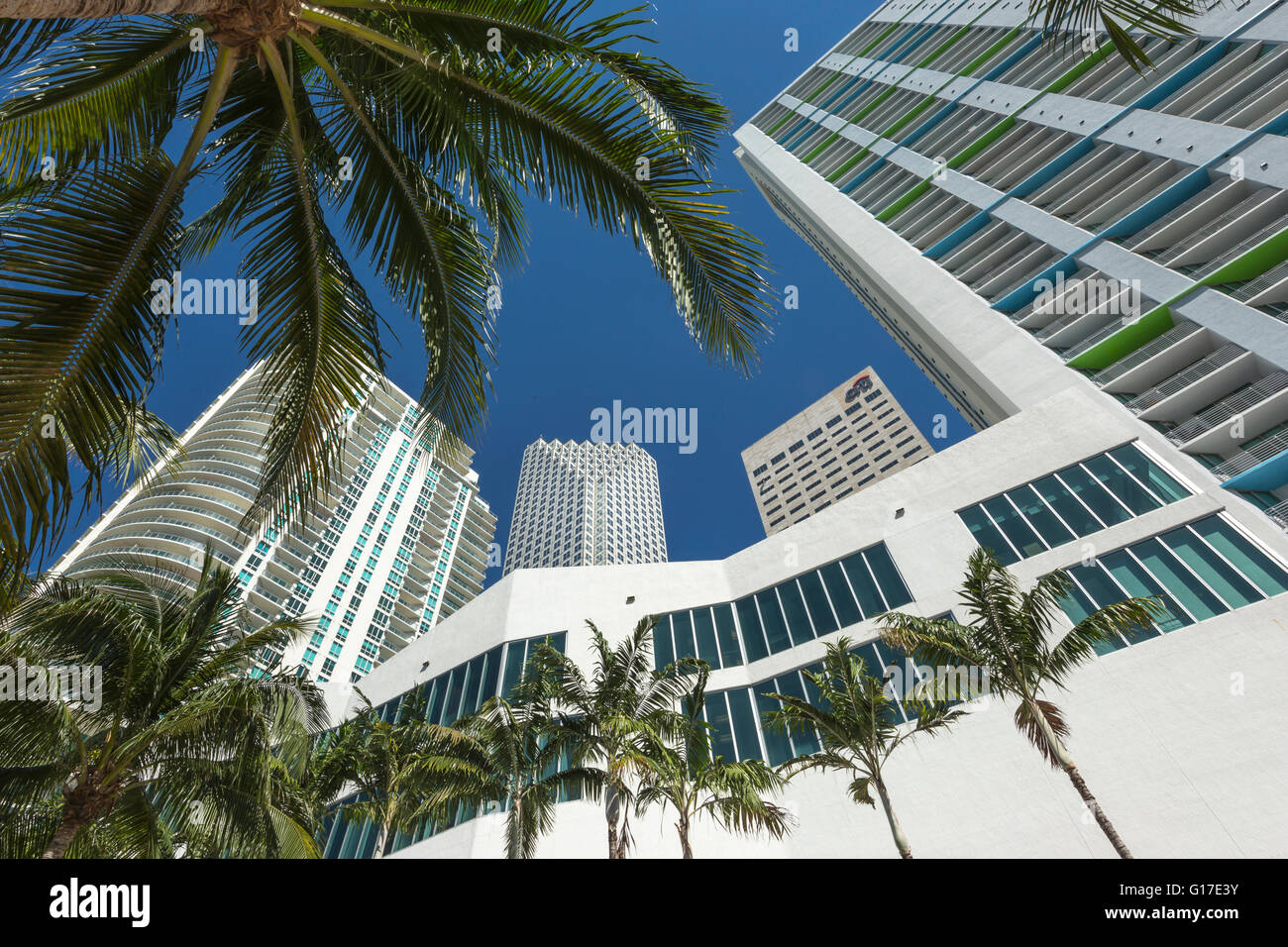 WOLKENKRATZER RIVERWALK DOWNTOWN MIAMI FLORIDA USA Stockfoto