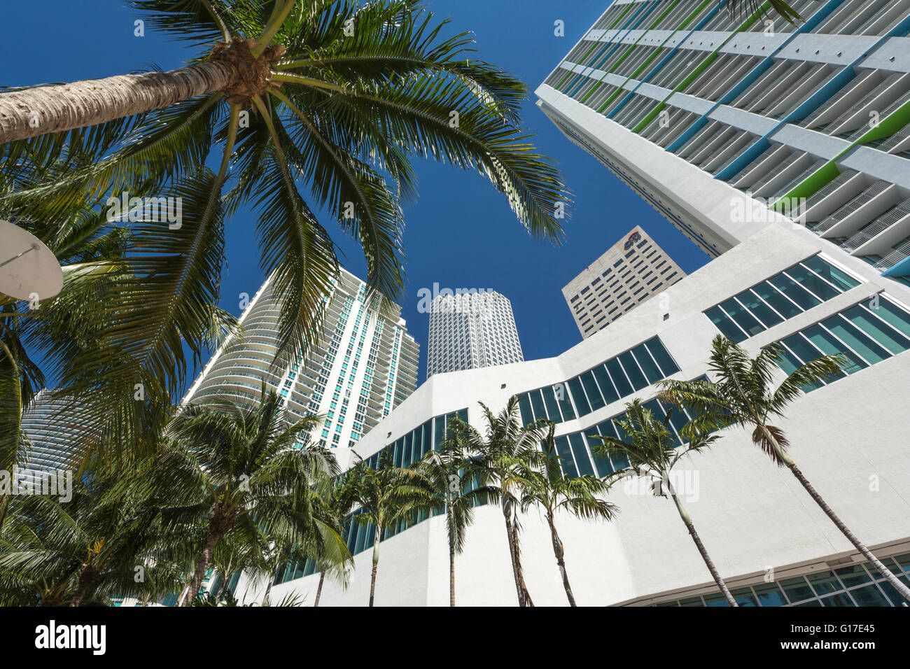 WOLKENKRATZER RIVERWALK DOWNTOWN MIAMI FLORIDA USA Stockfoto