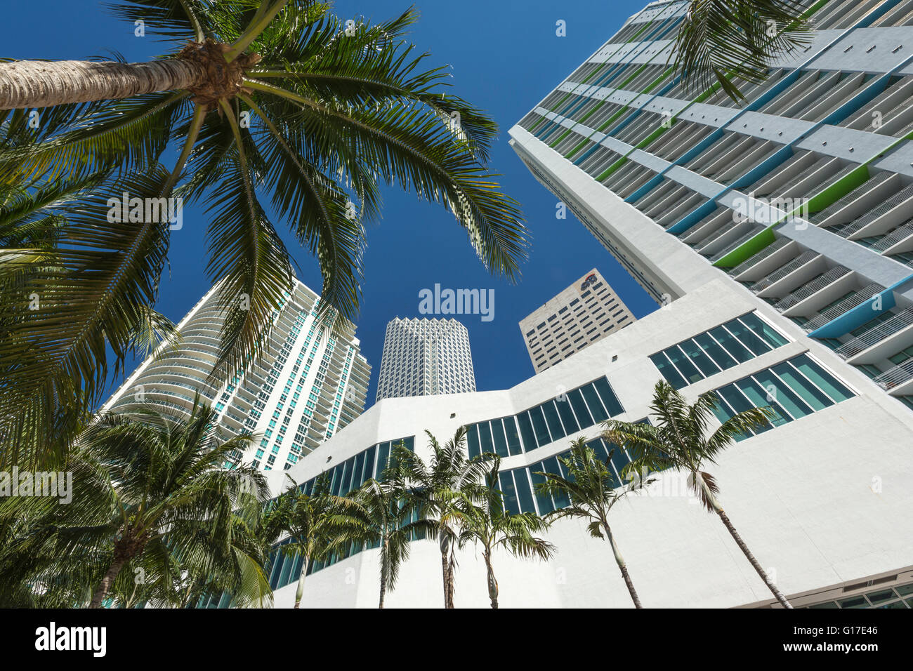 WOLKENKRATZER RIVERWALK DOWNTOWN MIAMI FLORIDA USA Stockfoto