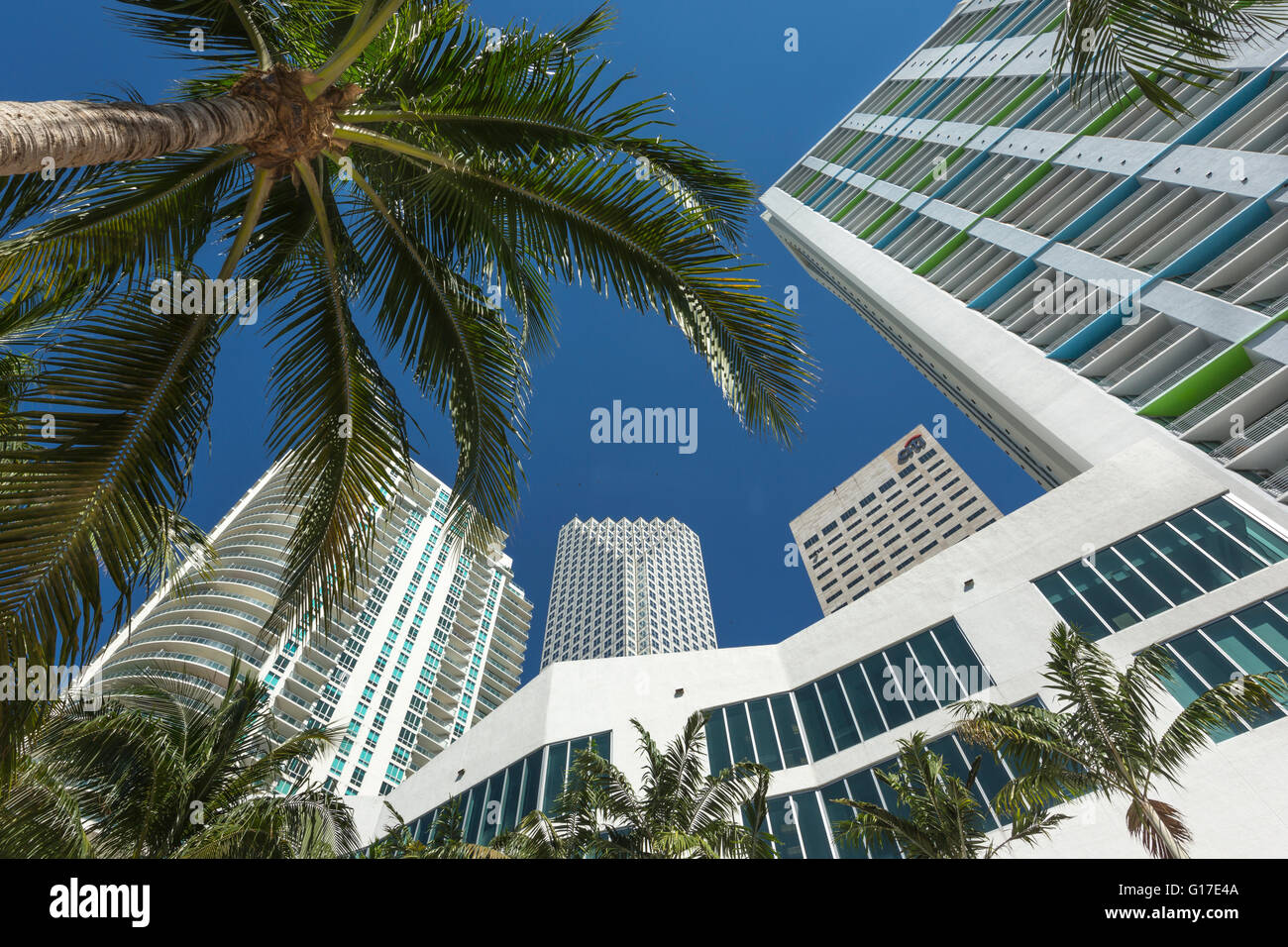 WOLKENKRATZER RIVERWALK DOWNTOWN MIAMI FLORIDA USA Stockfoto