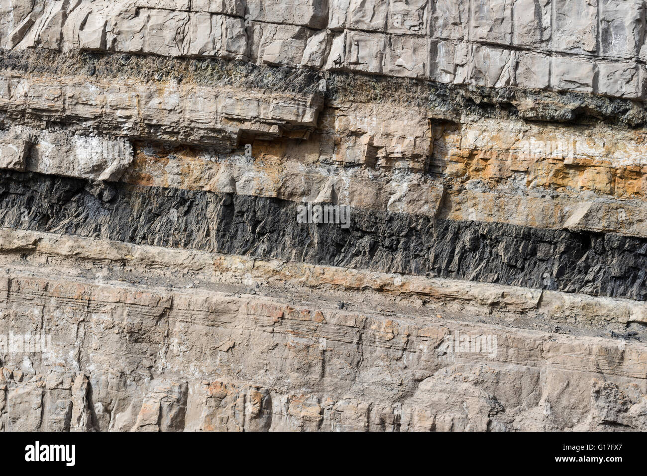 Kohlenflöz in einer Straße geschnitten in Carbon County, Utah. Stockfoto