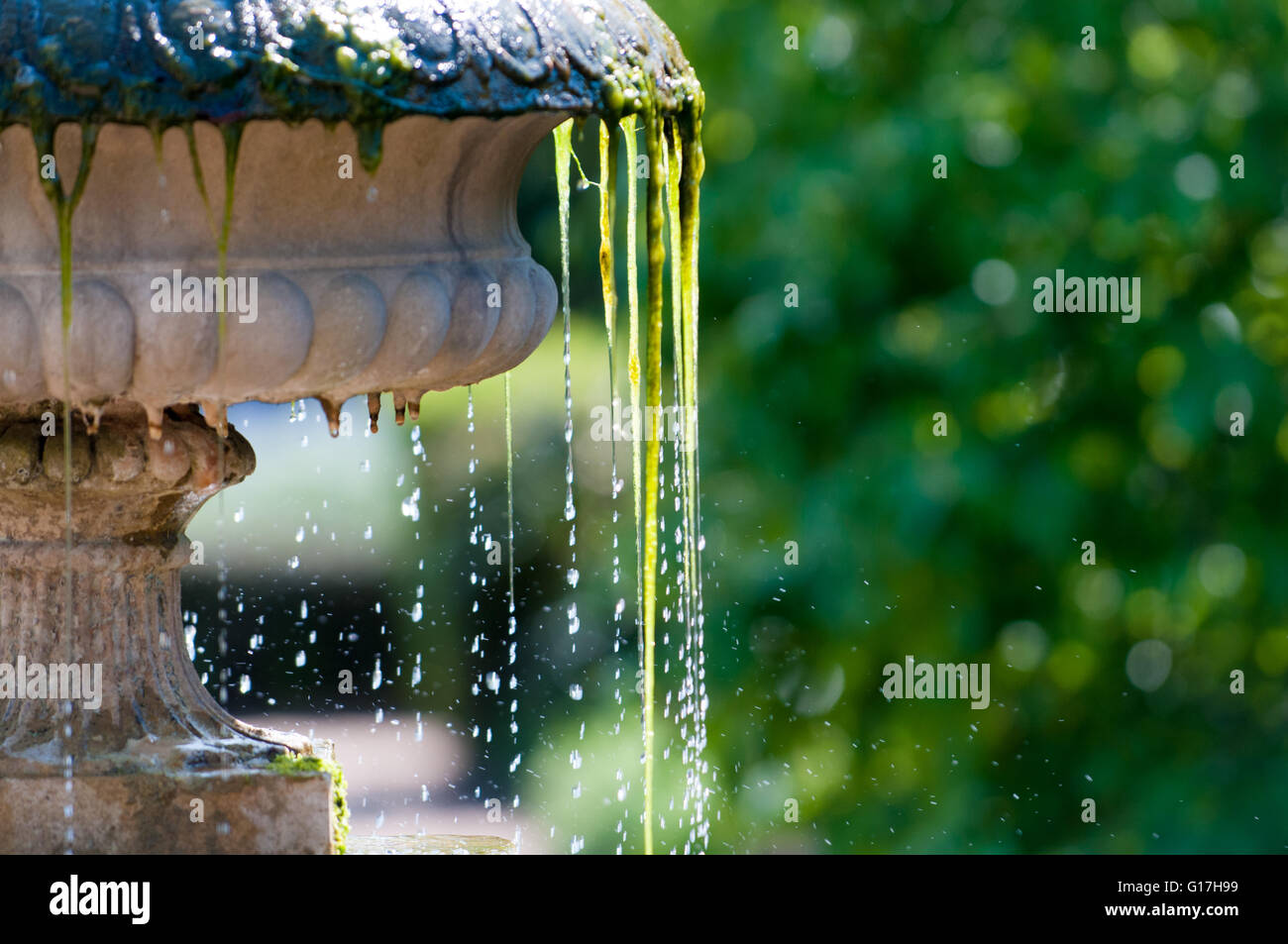 Nahaufnahme eines kühlen erfrischenden Wasserplätschern aus einem Garten Brunnen Stockfoto