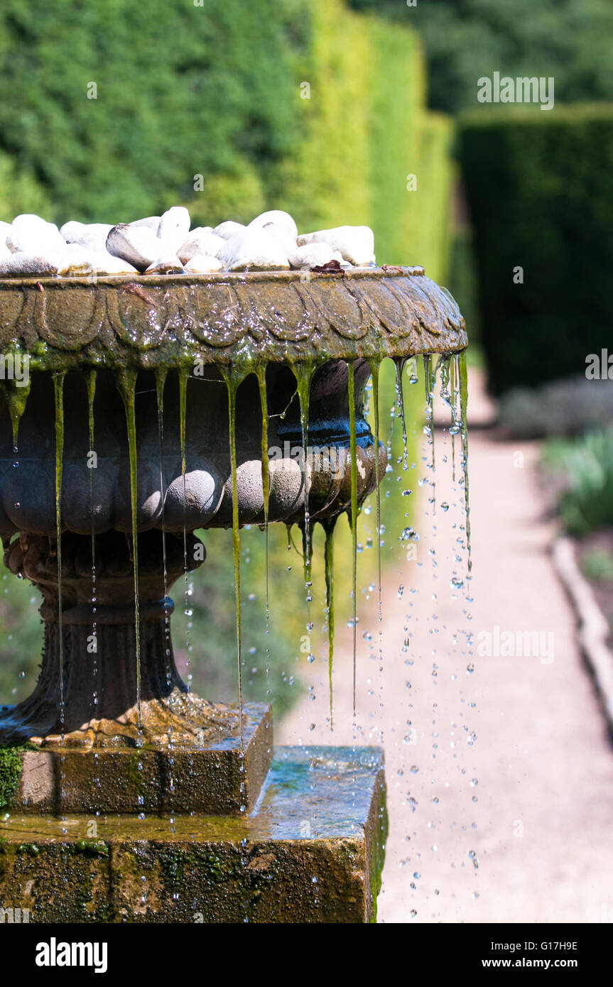 Nahaufnahme eines kühlen erfrischenden Wasserplätschern aus einem Garten Brunnen Stockfoto