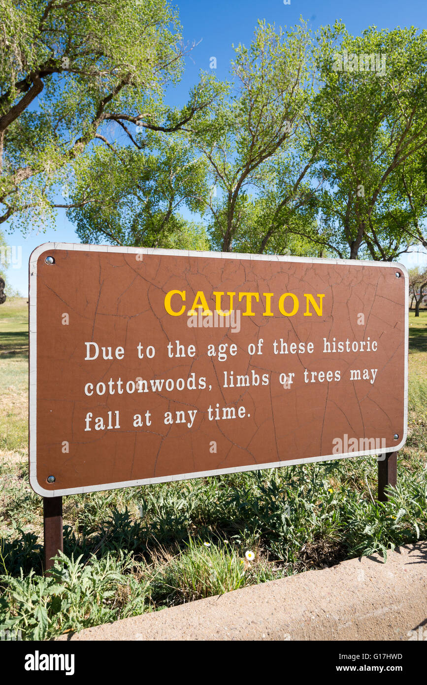 Fallende Gliedmaßen und Baum Warnung Zeichen, Fort Davis National Historic Site, West Texas. Stockfoto