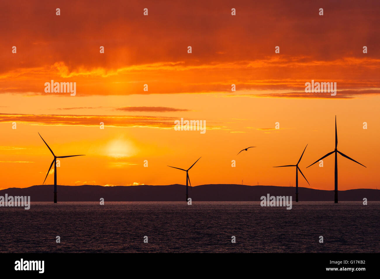 Sonnenaufgang über dem Walney Offshore-Windpark vor der Küste Cumbrian im Vereinigten Königreich Stockfoto