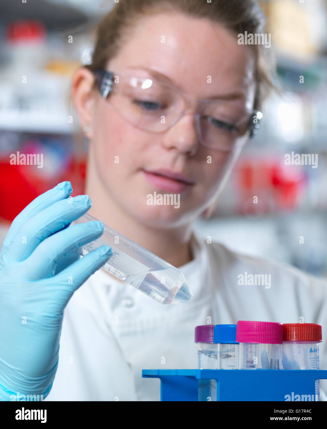 Wissenschaftler, die Antikörper Reinigung in Labor, Jenner-Institut, Universität Oxford Puffer vorbereiten Stockfoto