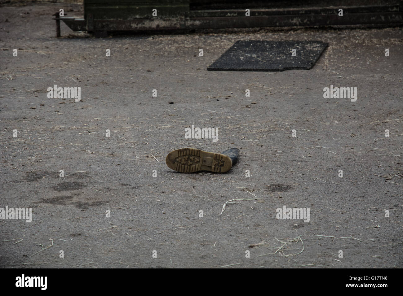 Ein Wellington Stiefel links in einem Pferd-Gehäuse mit Dreck auf dem Boden. Stockfoto Ein Wellington Stiefel links in einem Pferd-Gehäuse mit Dreck auf dem Boden. Stockfoto