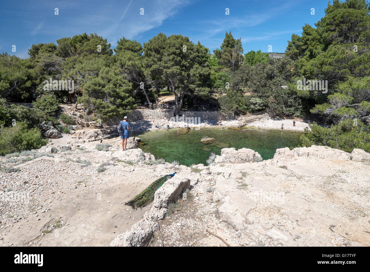 "Totes Meer" (Mrtvo More), Salzwasser See Lokrum Insel, Dubrovnik, Kroatien Stockfoto