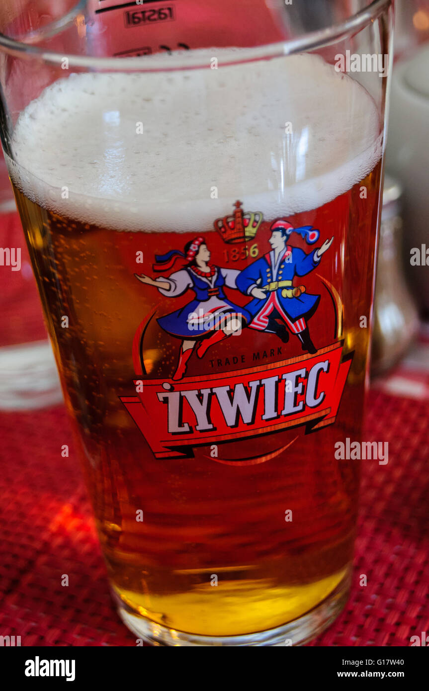 Ein bedrucktes Glas Zywiec Polnisches Bier auf einen Tisch im Restaurant U Ani, Boston, Lincolnshire, England Stockfoto