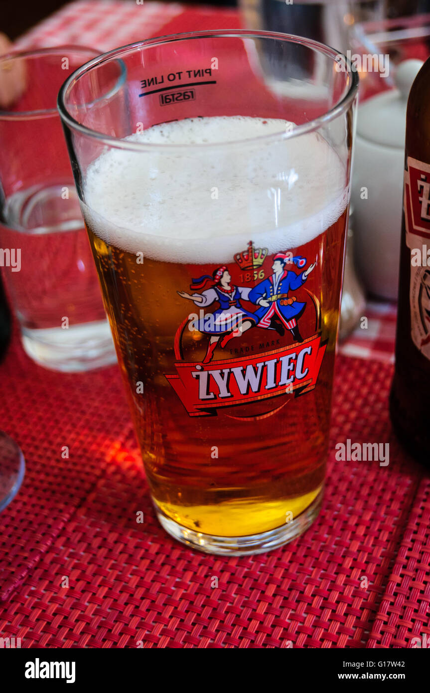 Ein bedrucktes Glas Zywiec Polnisches Bier auf einen Tisch im Restaurant U Ani, Boston, Lincolnshire, England Stockfoto