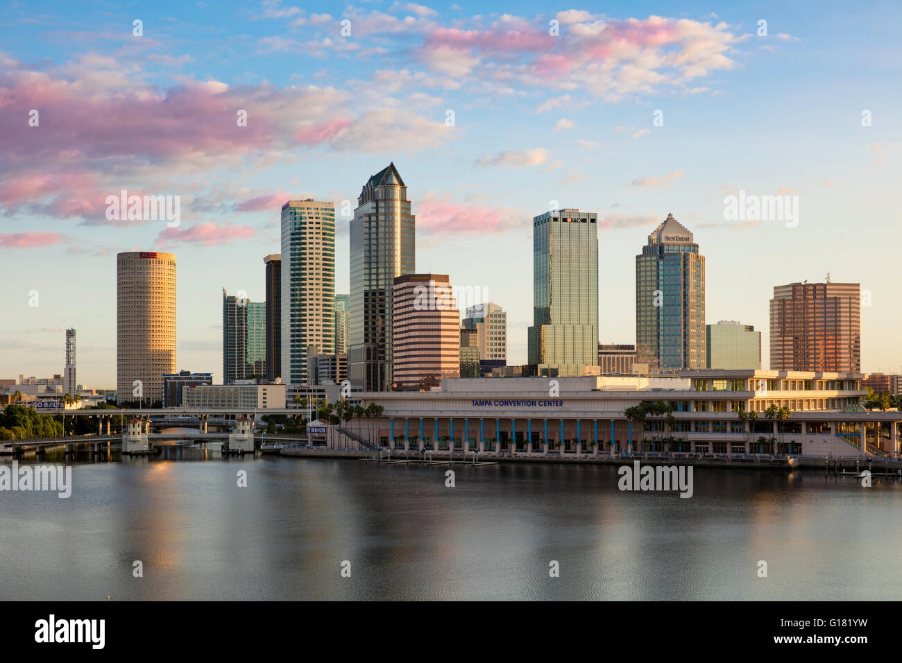 Morgendämmerung über der Skyline von Tampa, Florida, USA Stockfoto