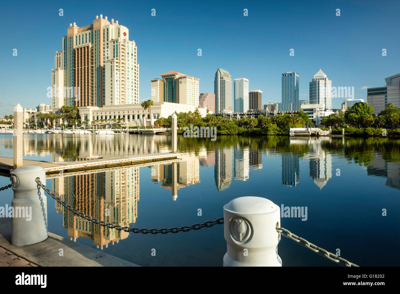 Am frühen Morgen über die Skyline von Tampa, Florida, USA Stockfoto