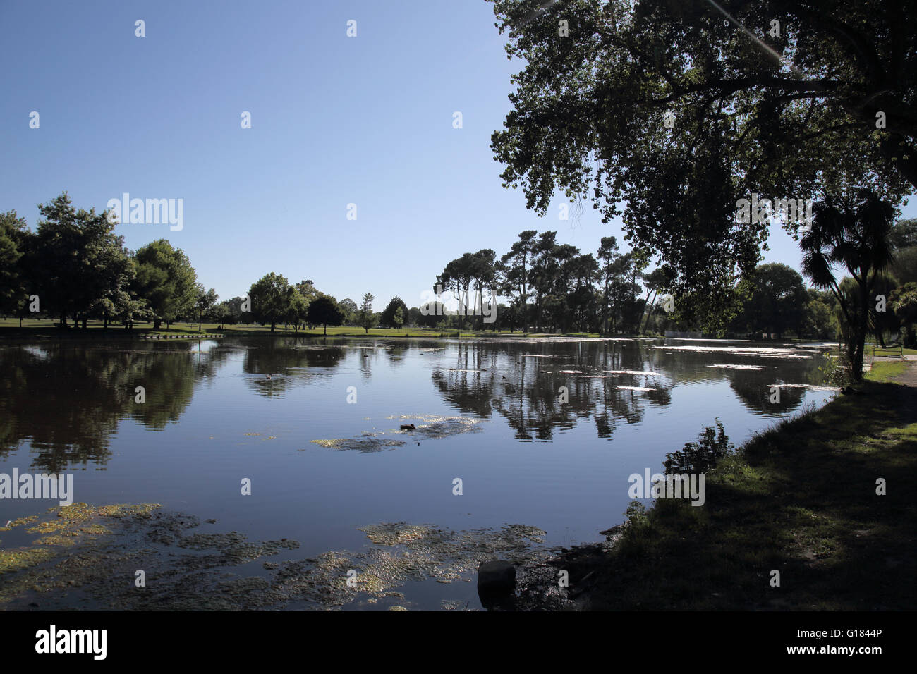 Hagley Park Christchurch Canterbury Neuseeland Südinsel Stockfoto