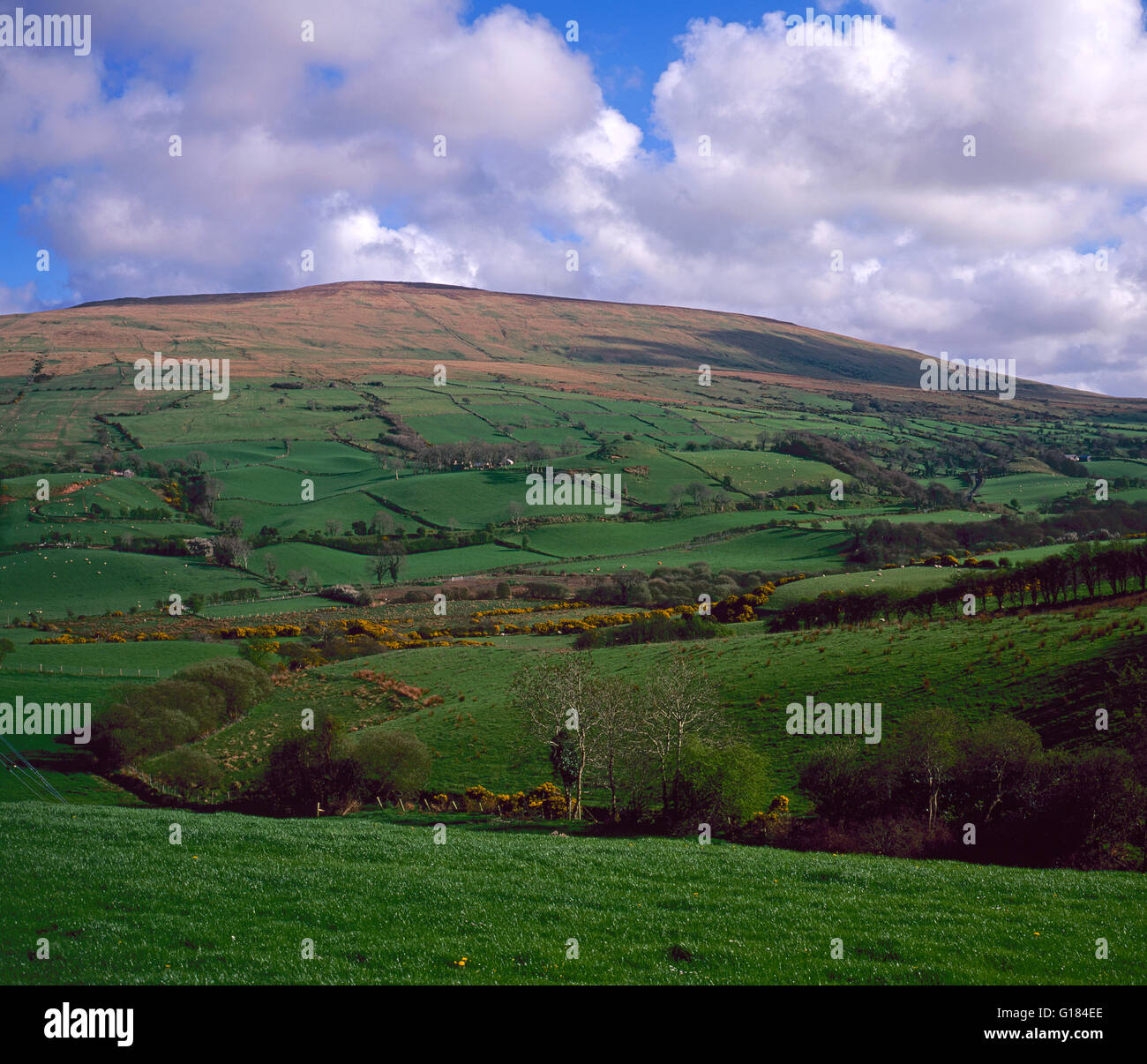 Sperrin Mountains, Grafschaft Tyrone, Nordirland Stockfoto