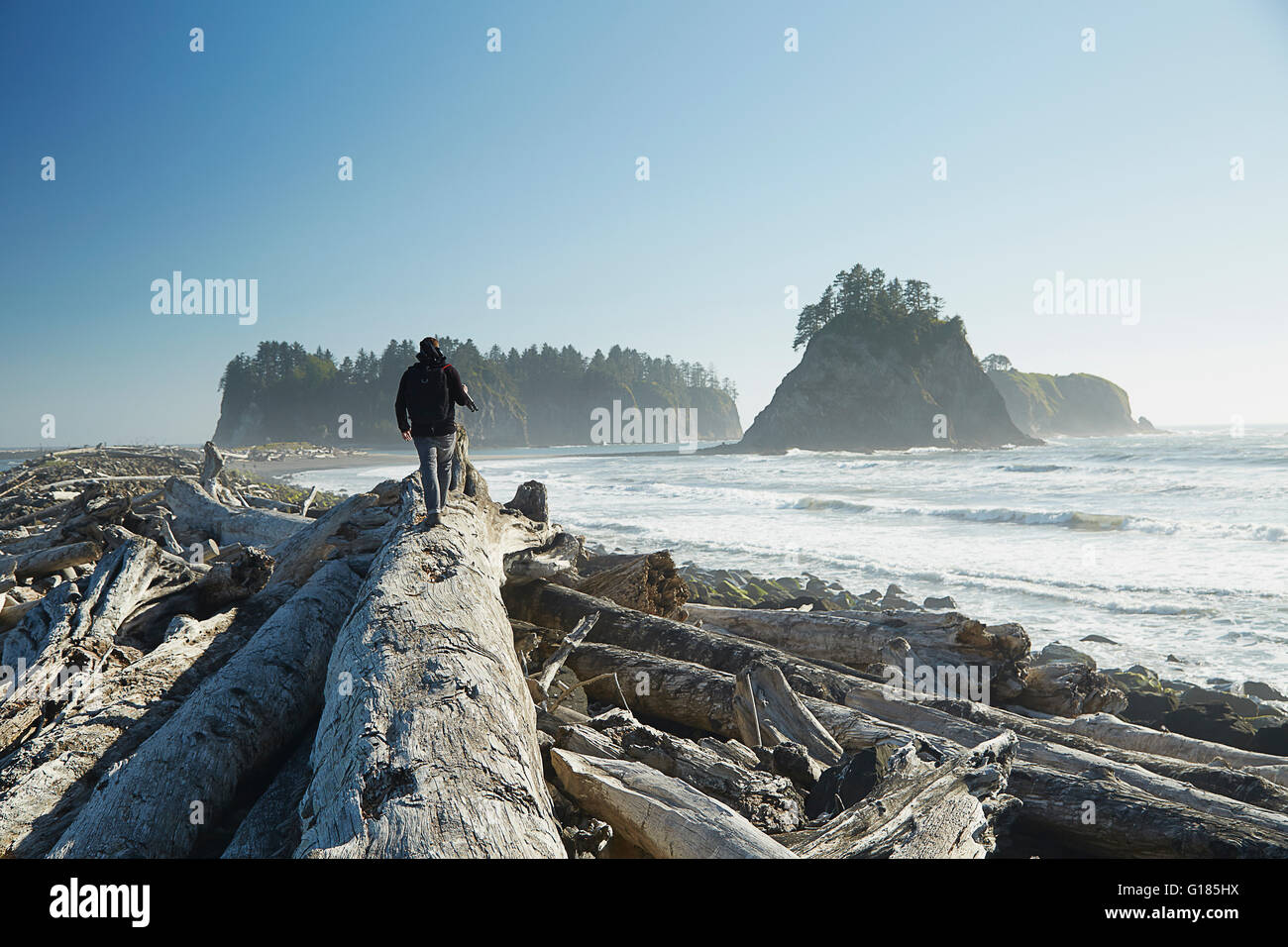 Rückansicht der Mann zu Fuß auf umgestürzten Baum mit Stativ, Rialto Beach, Washington State, USA Stockfoto