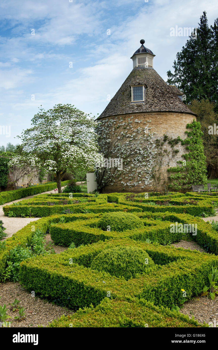 Spalier Obstbaum in Blüte gegen das Taubenhaus bei Rousham House and Garden. Oxfordshire, England Stockfoto