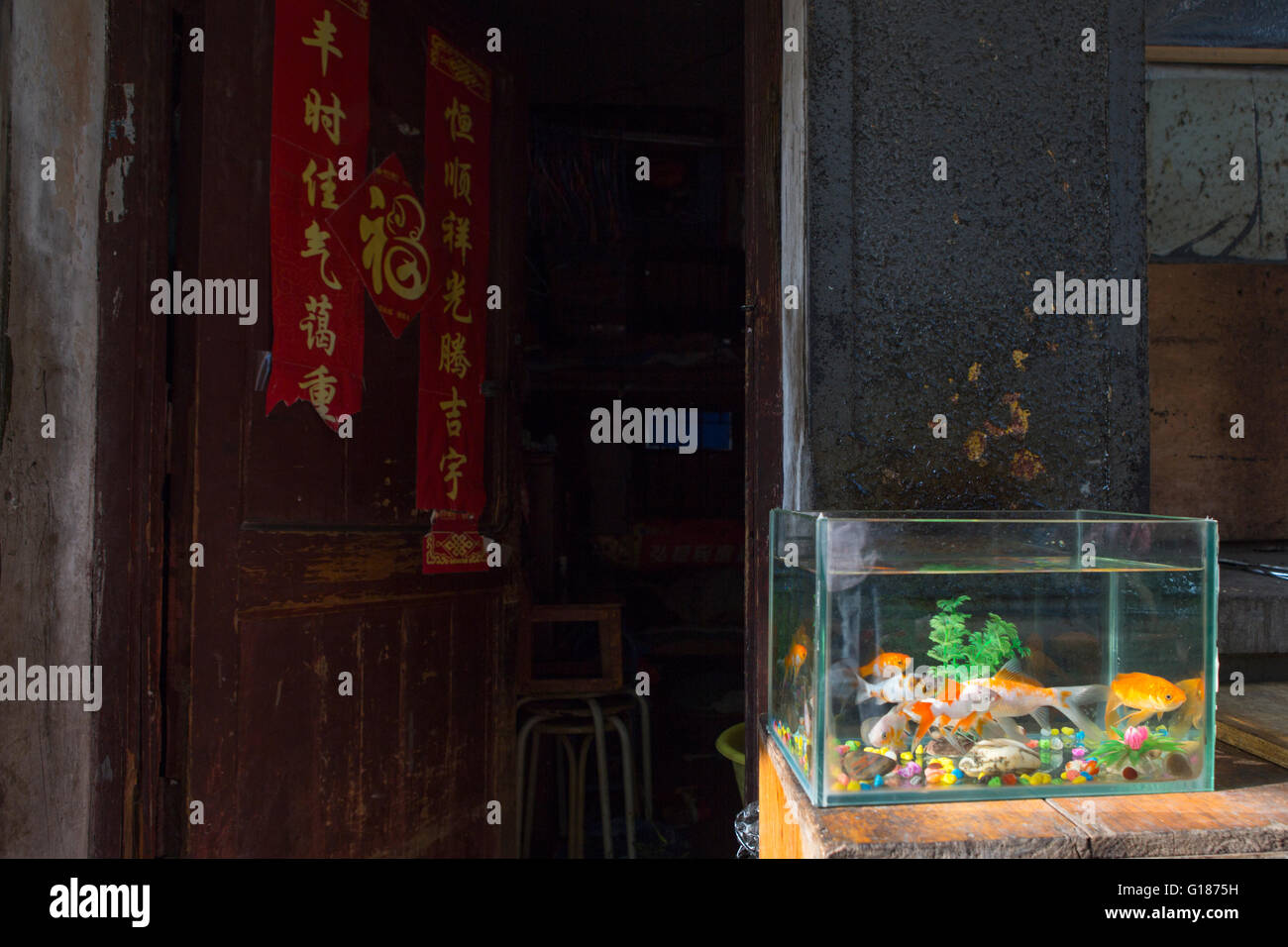 Aquarium mit Goldfischen außerhalb vor eine Tür und ein Haus in einer Straße in Nanjing / China Stockfoto