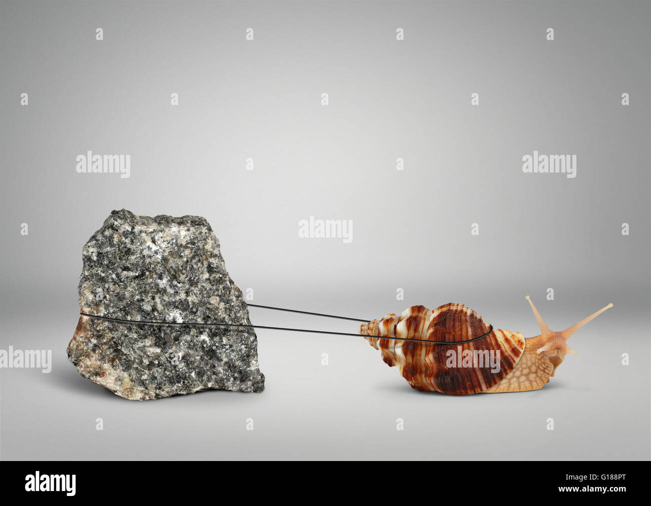 Schnecke ziehen große Stein, Persistenz-Konzept Stockfoto