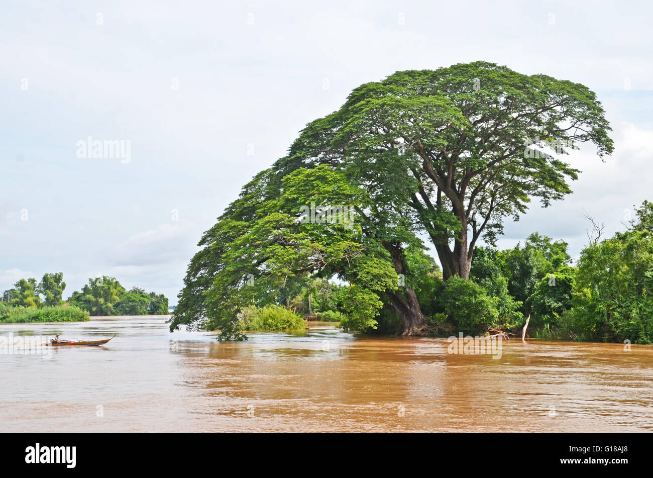 Boot und Baum, Mekong, Don Det, 4.000 Inseln, Laos Stockfoto