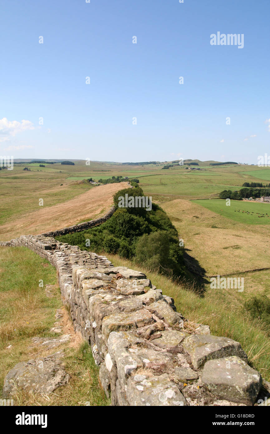 Hadrien der Wand nach dem Kamm des Great Whin Sill über ländliche Nothumberland, England. Stockfoto