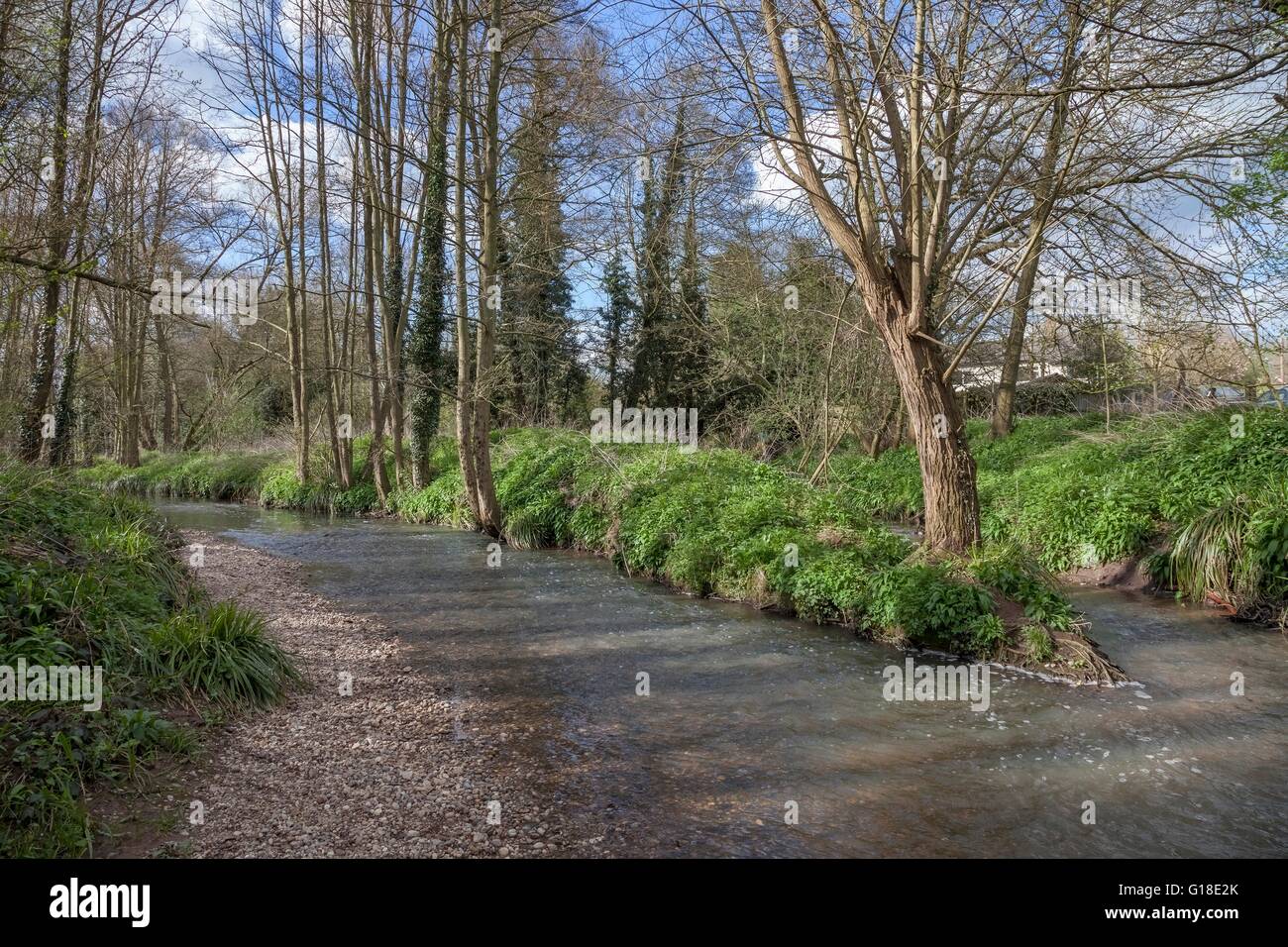 Fluss Alne am Henley in Arden, Warwickshire, England Stockfoto