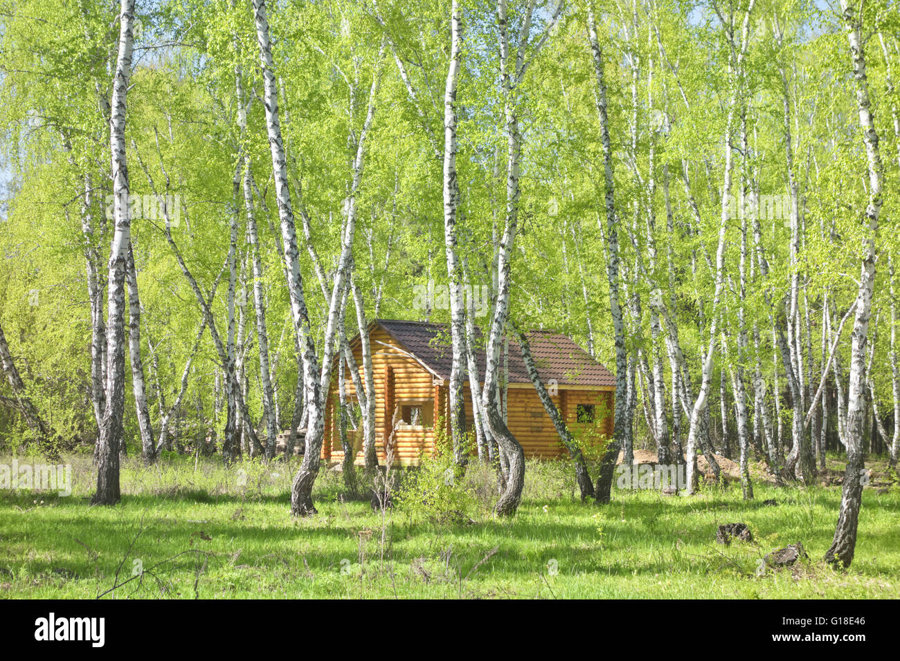 Bau eines Holzhauses im Wald Stockfoto