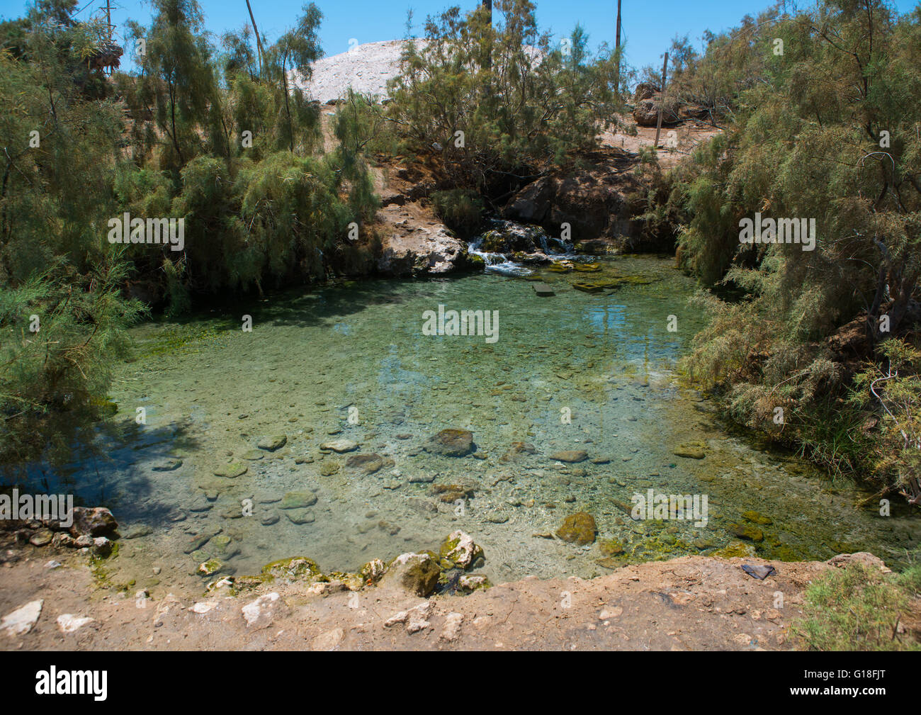 Heiße Quelle mit grünem Wasser, Afar-Region, Afdera, Äthiopien Stockfoto