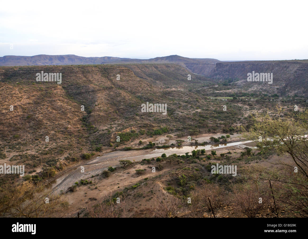 Awash Fluss im National park, Afar-Region überflutet, Äthiopien Stockfoto
