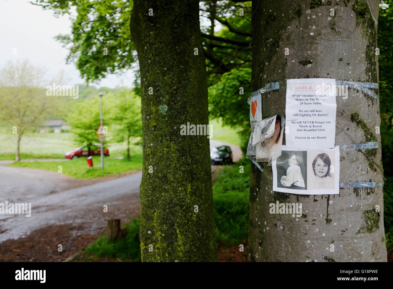 Brighton, Großbritannien. Mai 2016. Wild Park in Brighton, wo die Leichen der ermordeten Schulmädchen Nicola Fellows und Karen Hadaway vor fast 30 Jahren entdeckt wurden. Ein Mann wurde gestern verhaftet, in Verbindung mit dem, was als die Babes in den Wood Morden bekannt wurde Stockfoto