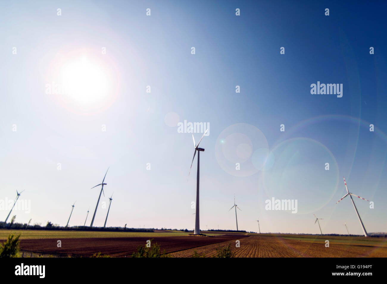 Windräder erzeugen sauberen Strom. Ökologie, Verhinderung der globalen Erwärmung Stockfoto