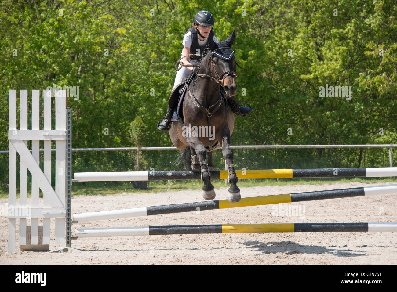 Pferd springen Hindernis - Springreiten Stockfotografie - Alamy