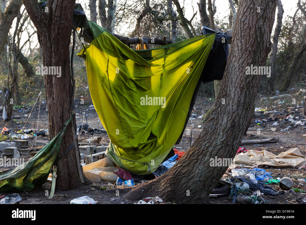 Verlassenes Zelt hängen. Der Dschungel Flüchtling & Migrant Camp, Calais, Nordfrankreich Stockfoto