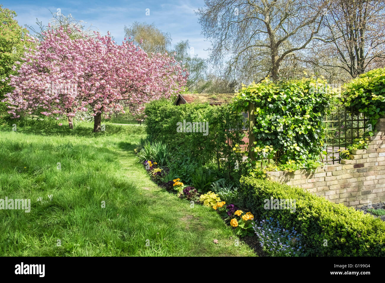 Seasonal Frühjahr Farbe im Regents Park, London, UK Stockfoto