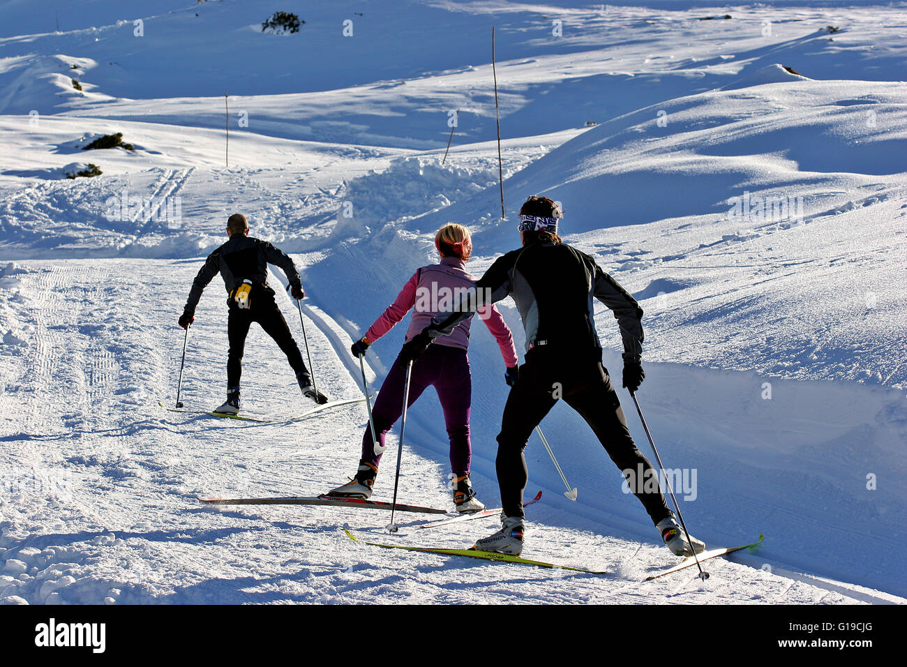 Eski in Larra-Belagua, Navarra, Spanien Stockfoto