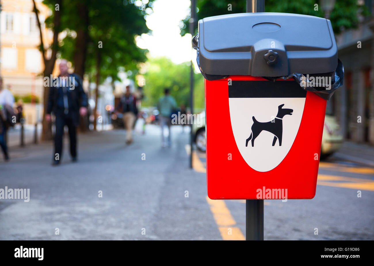Hundekorb Abfall auf der Straße Stockfoto