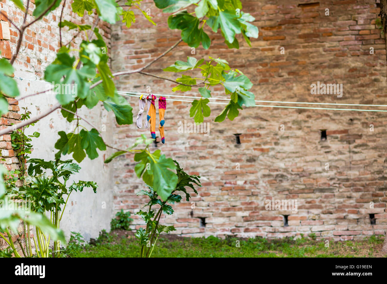 Socken zum Trocknen an einem Seil in den Innenhof, umgeben von alten Mauern und Pflanzen in einem mittelalterlichen Dorf in Italien gehängt Stockfoto