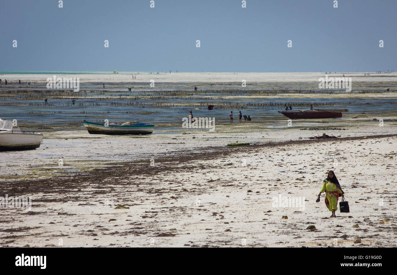 Eine lokale Frau macht ihren Weg entlang am Strand von Jambiani, Sansibar Stockfoto