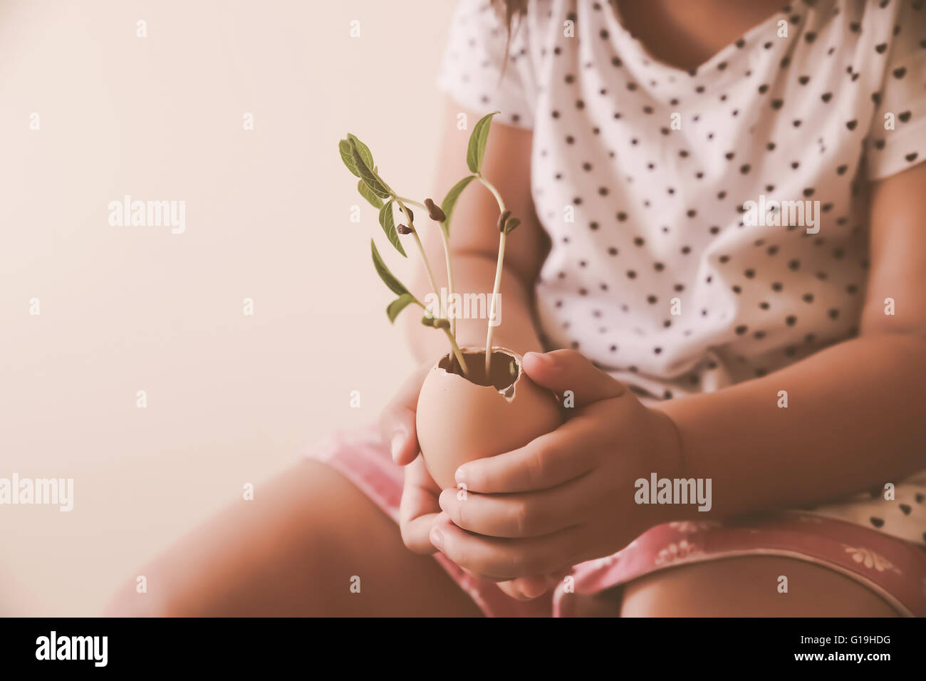 Ein Kleinkind Mädchen hält Jungpflanzen in Eierschale, Eco-Konzept, Muskelaufbau Stockfoto