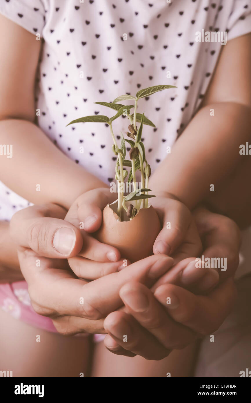 Kind und Eltern Hände halten Jungpflanzen in Eierschale, Eco-Konzept, Muskelaufbau Stockfoto