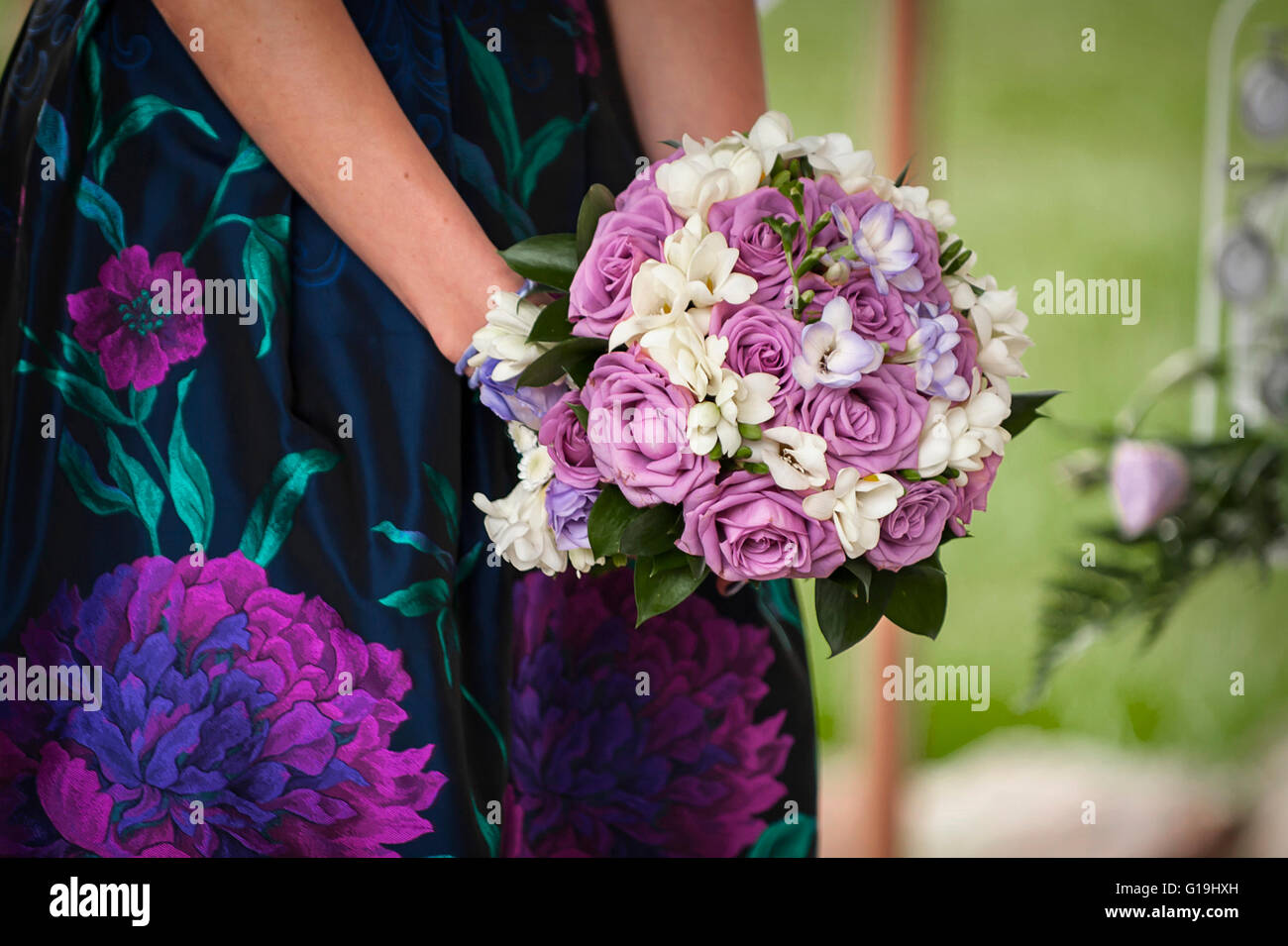 Schöner Blumenstrauß lila Rosen in den Händen Stockfoto