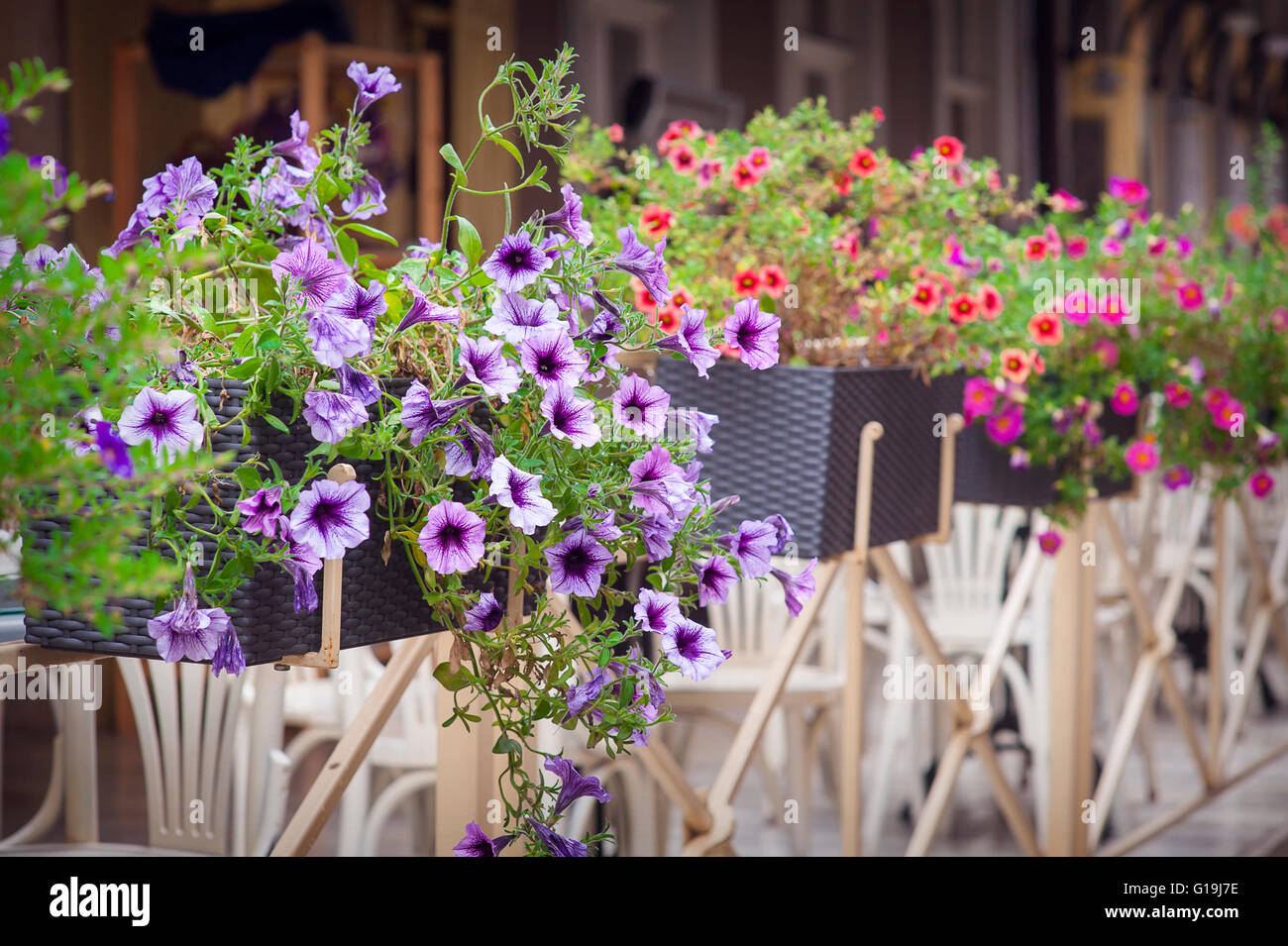 Straße Blumendekoration Stockfoto