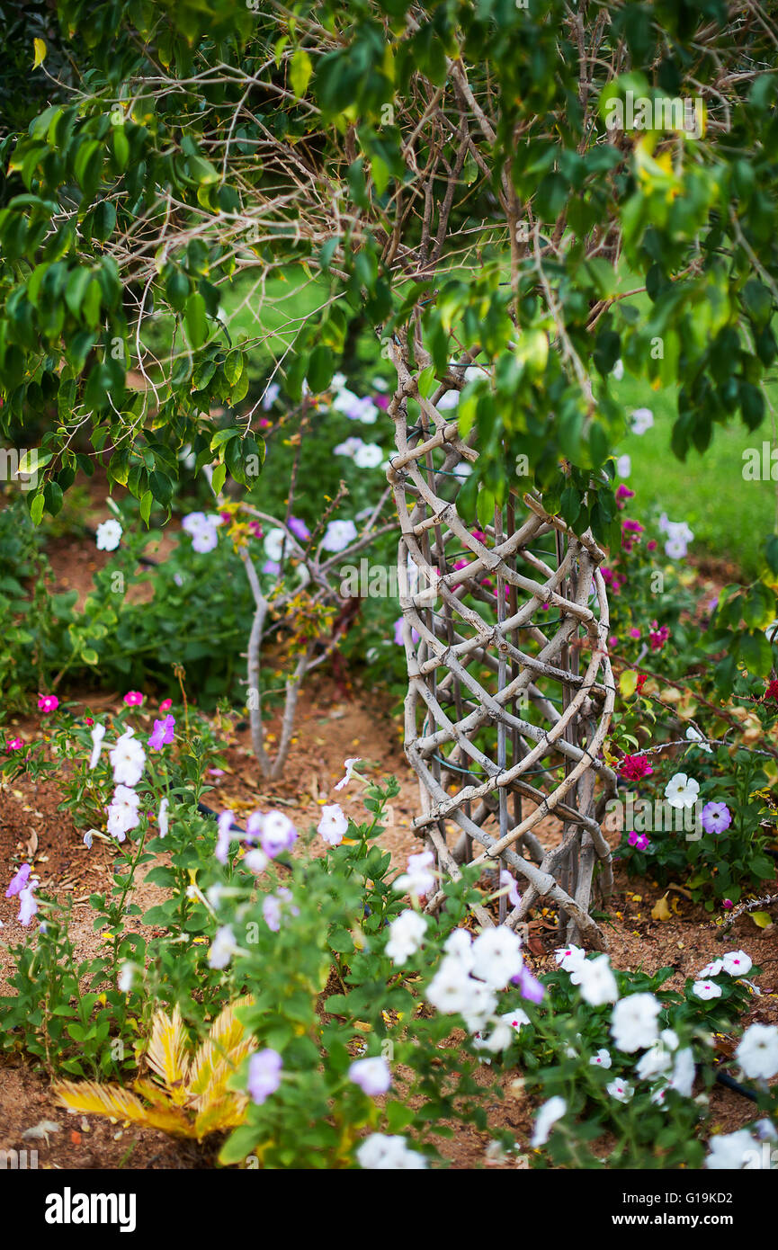 Bäume im Garten Stockfoto