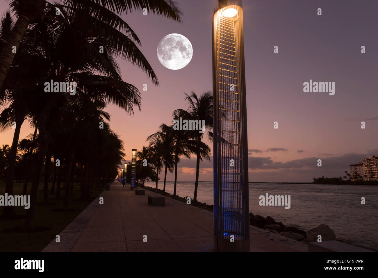 MIAMI BEACH FLORIDA USA FÜR PALM BÄUME WATERFRONT PROMENADE SOUTH POINTE PARK Stockfoto